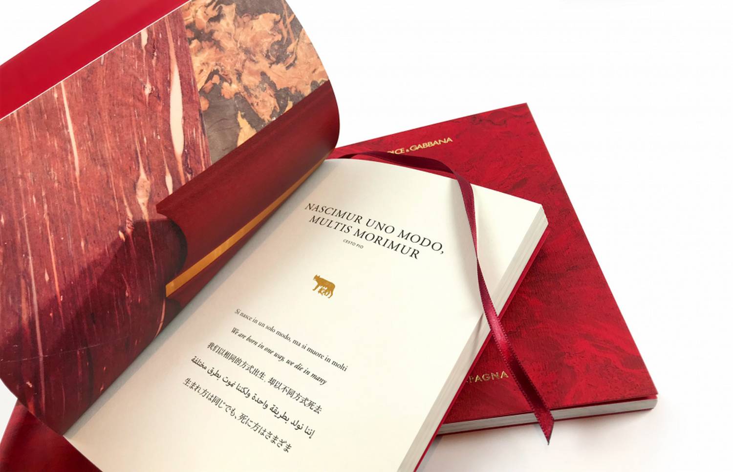 DOLCE & GABBANA, Rome Pamphlet