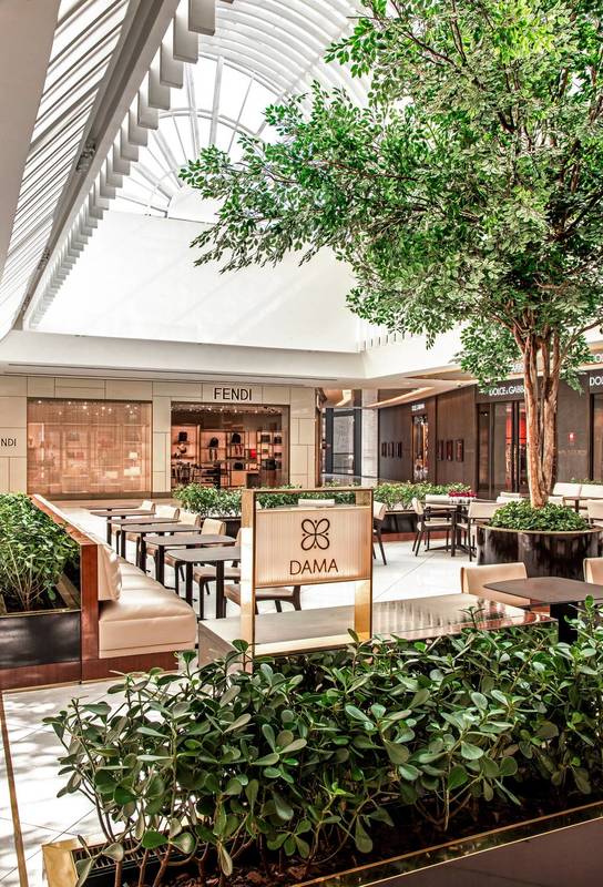 DAMA CAFE, Sao Paulo Faria Lima