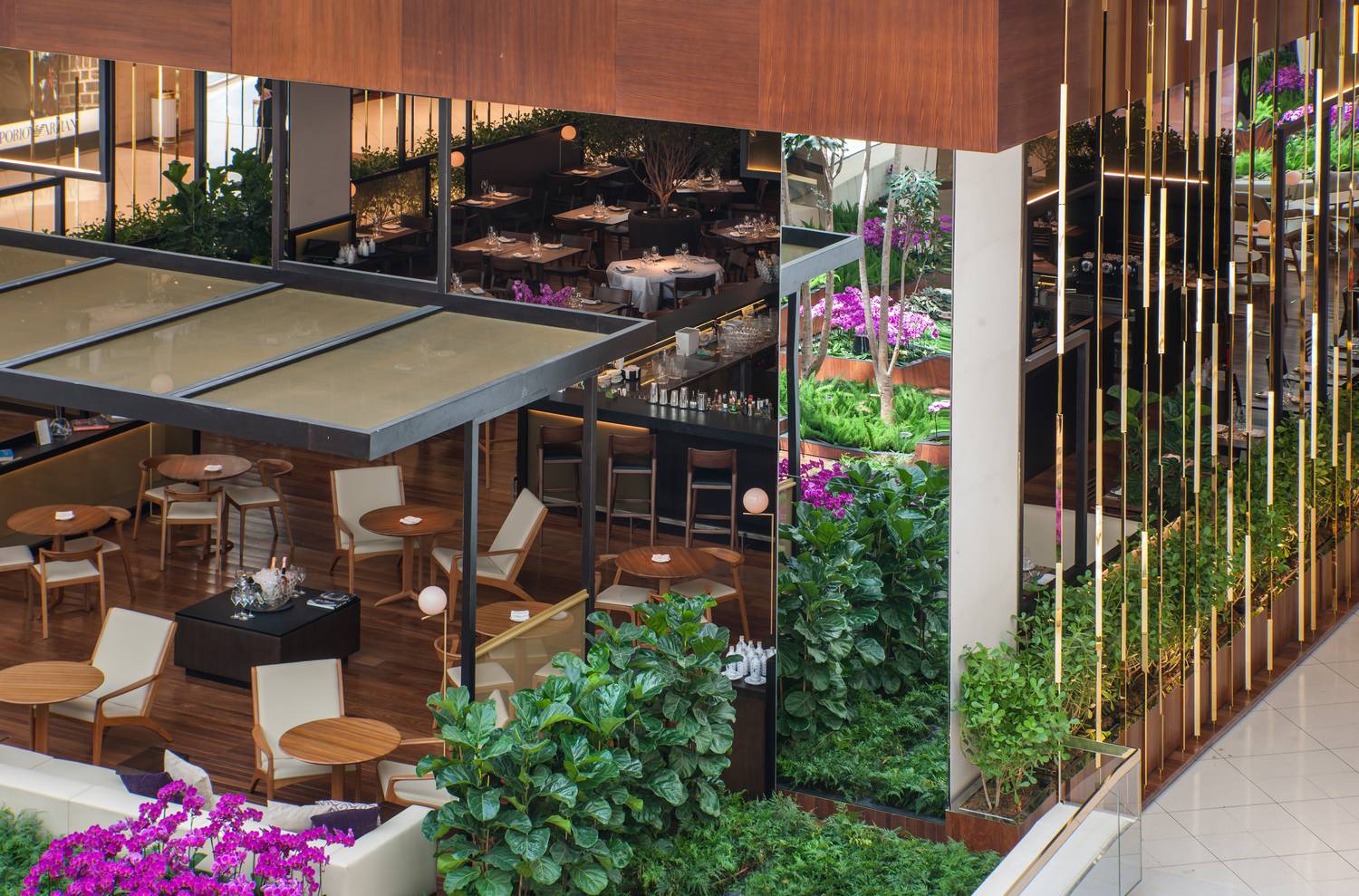 PISELLI SUD,  Sao Paulo