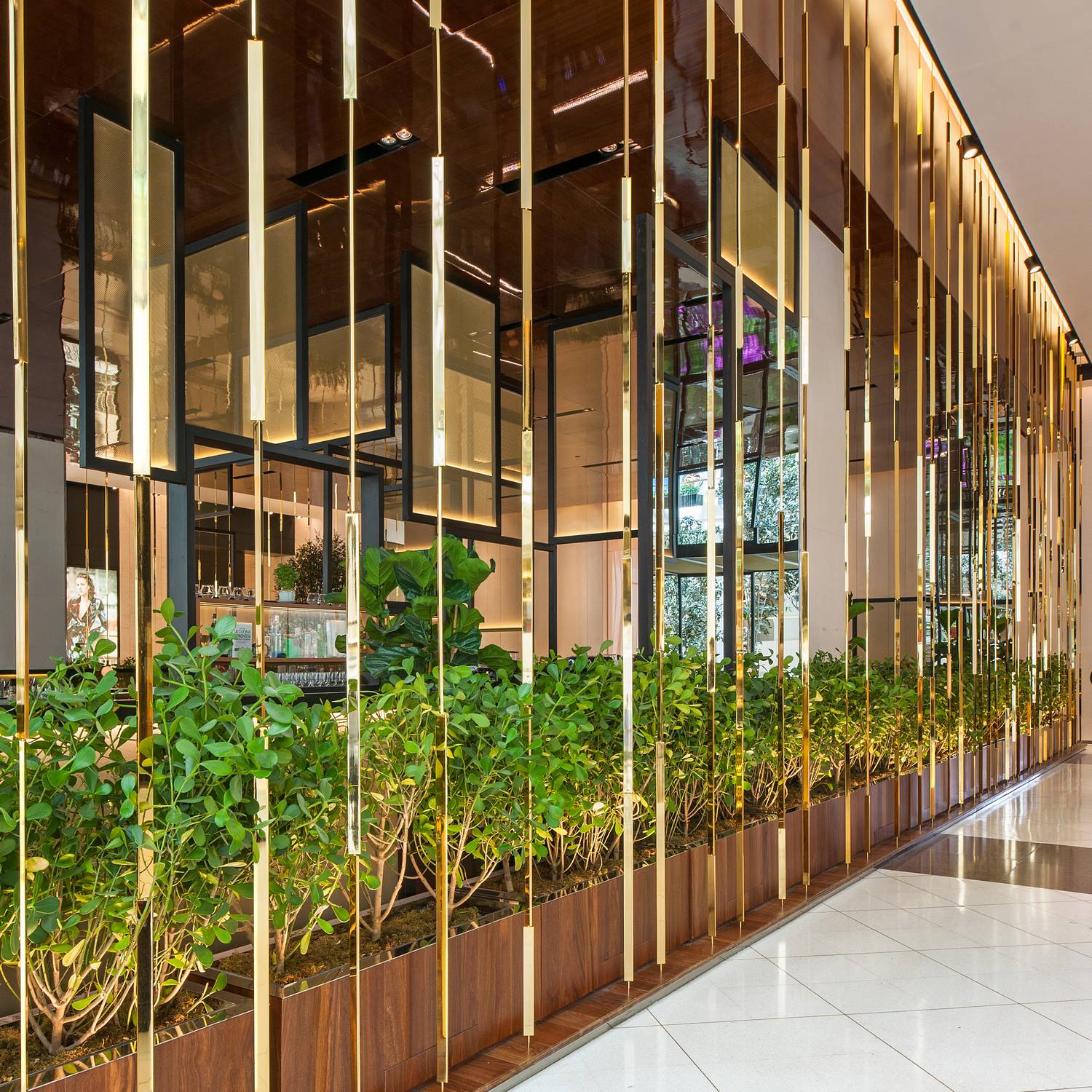 PISELLI SUD,  Sao Paulo