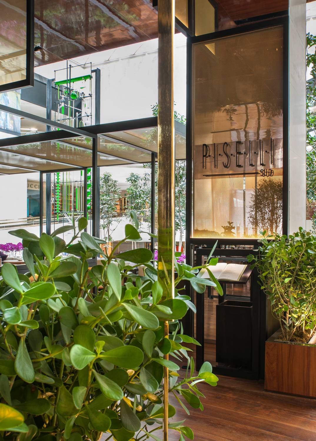 PISELLI SUD,  Sao Paulo